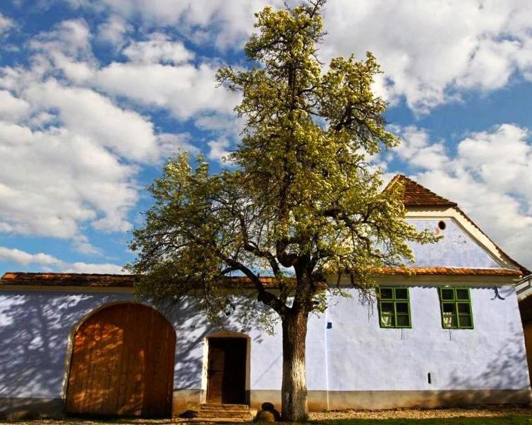 Verde De Viscri Exterior foto