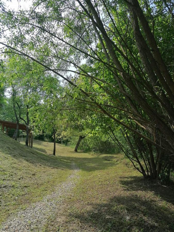 Verde De Viscri Exterior foto